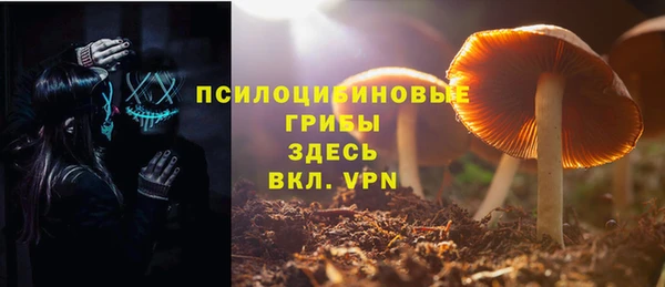 трава Елизово