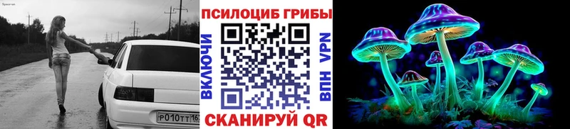 что такое Камень-на-Оби Галлюциногенные грибы MAGIC MUSHROOMS