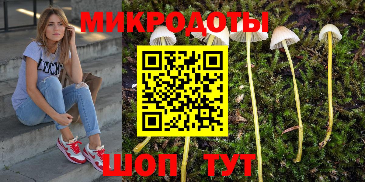 Камень-на-Оби  Галлюциногенные грибы MAGIC MUSHROOMS  Вход с VPN 