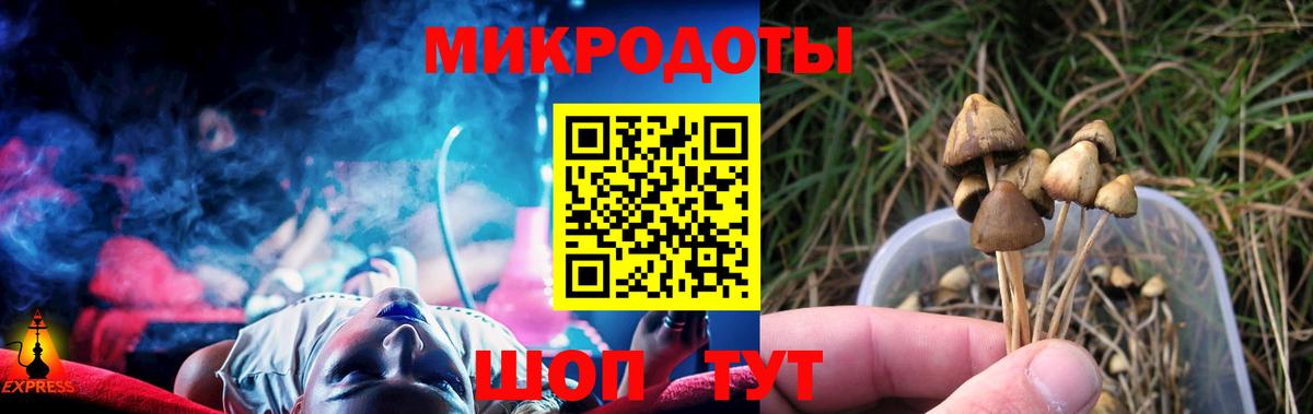 Галлюциногенные грибы мицелий Камень-на-Оби