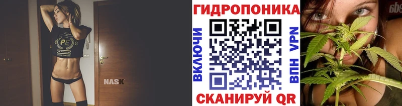 Каннабис сатива  мориарти клад  Камень-на-Оби 